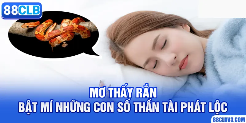 mơ thấy rắn