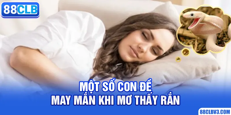 Mơ Thấy Rắn - Bật Mí Những Con Số Thần Tài Phát Lộc 2026 Một số con đề may mắn khi mơ thấy rắn
