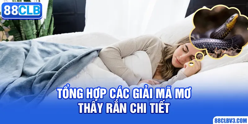 Mơ Thấy Rắn - Bật Mí Những Con Số Thần Tài Phát Lộc 2026 Tổng hợp các giải mã mơ thấy rắn chi tiết